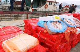   Trung Quốc bắt giữ thịt lậu được tồn trữ hơn 40 năm